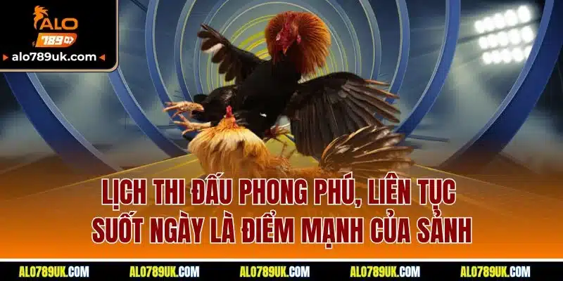 Đá Gà Alo789 6 Lịch thi đấu phong phú, liên tục suốt ngày là điểm mạnh của sảnh
