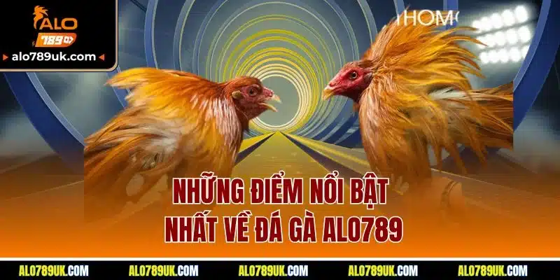 Đá Gà Alo789 3 Những điểm nổi bật nhất về đá gà alo789