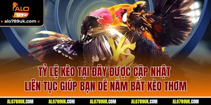 Đá Gà Alo789 4 Tỷ lệ kèo tại đây được cập nhật liên tục giúp bạn dễ nắm bắt kèo thơm